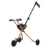 Micro Trike Deluxe Gold